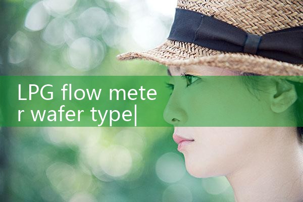 LPG flow meter wafer type|arduino flow meter