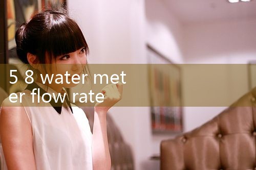 5 8 water meter flow rate|mass flowmeter