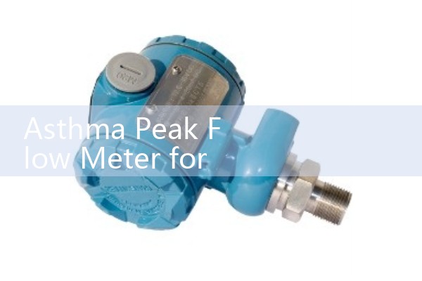 Asthma Peak Flow Meter for Sale: Pharmacy and Medical Supply Sourcing Directory