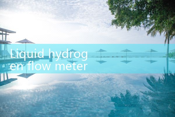 liquid hydrogen flow meter|mass flowmeter