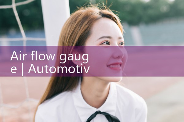 air flow gauge|mass flowmeter