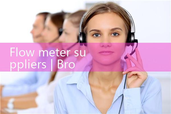 flow meter suppliers|mass flowmeter