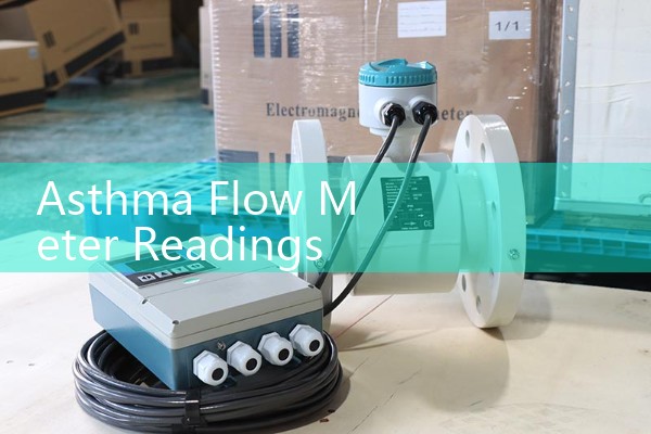 Asthma Flow Meter Readings: Interpreting Daily Manual and Electronic Scale Data