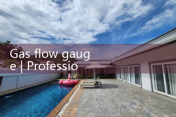 gas flow gauge|mass flowmeter