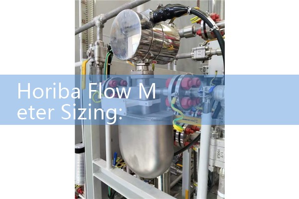 Horiba Flow Meter Sizing: Ultra-High-Precision Mass Flow Controllers for Semiconductor Gas Skids
