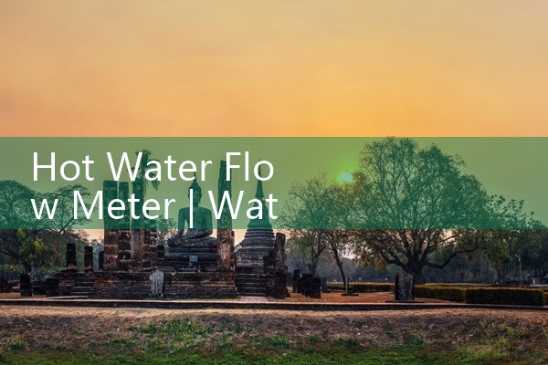 flow measurement types|coriolis mass flow meter