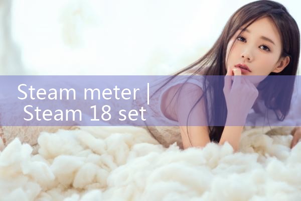steam meter|mass flowmeter