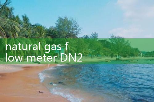 natural gas flow meter DN200|arduino flow meter