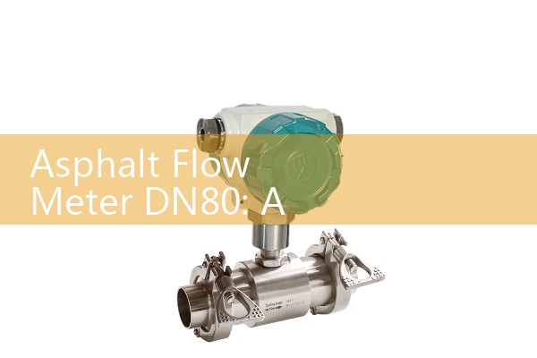 Asphalt Flow Meter DN80: Achieving Perfect Mixes in In-Line Blending Skids