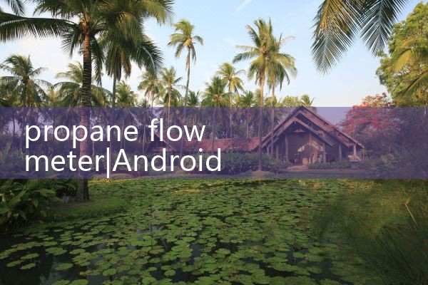 propane flow meter|coriolis mass flow meter
