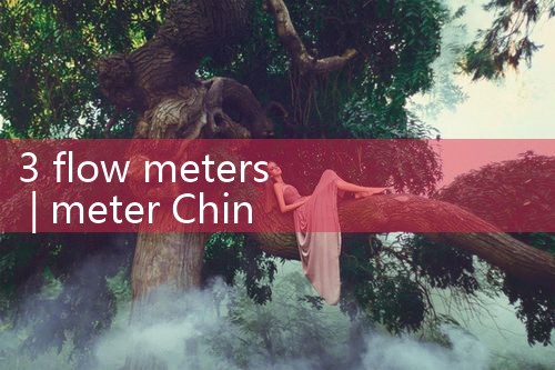 3 flow meter|mass flowmeter