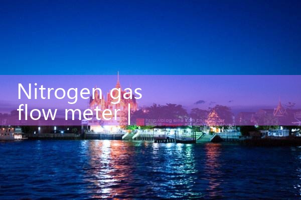 nitrogen gas flow meter|coriolis mass flow meter