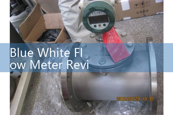 Blue White Flow Meter Review: Variable Area Meters for Chemical Feed