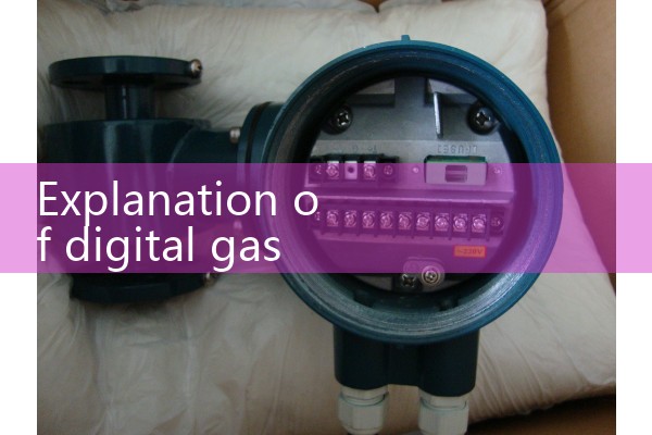 digital gas meter