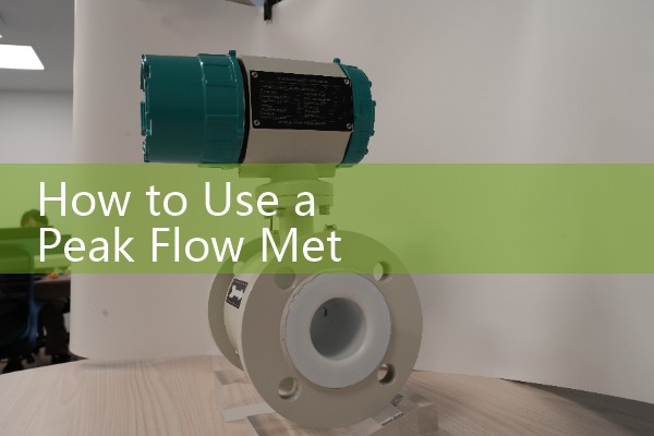 How to Use a Peak Flow Meter: Step-by-Step Guide for Asthma Patients