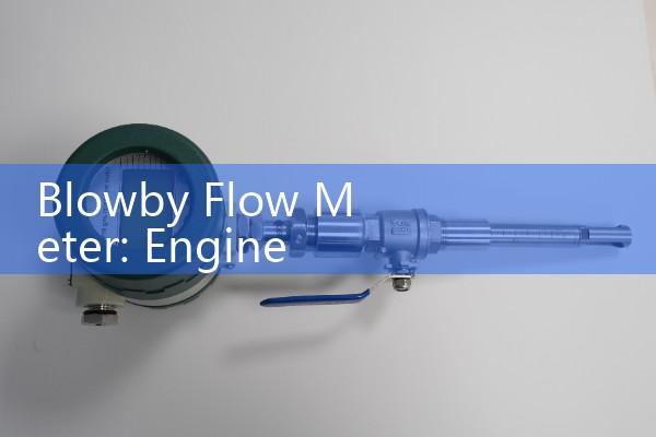 Blowby Flow Meter: Engine Crankcase Ventilation Leakage Diagnostic Tools