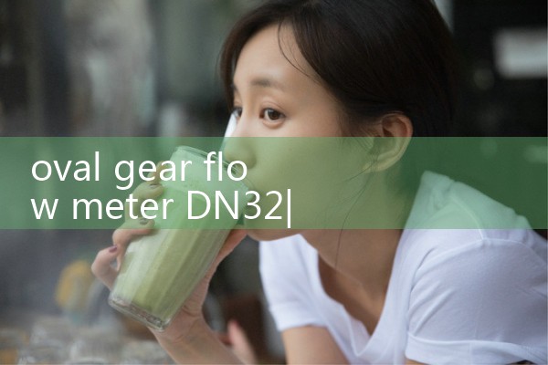 oval gear flow meter DN32|vortex flow meter