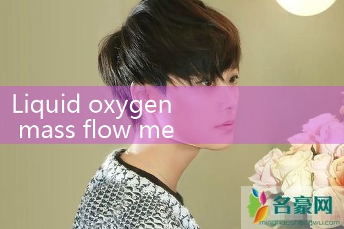 liquid oxygen mass flow meter|mass flowmeter