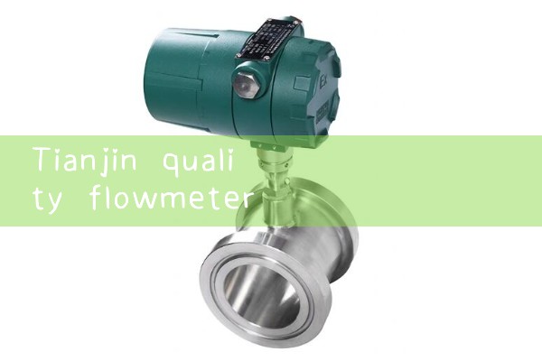 Tianjin Quality Flow Meter Wholesale Manufacturer
