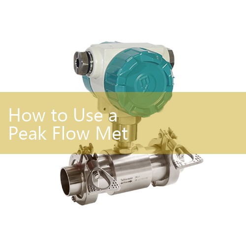 How to Use a Peak Flow Meter Video: Visual Step Guide for Healthcare Educators and Patients