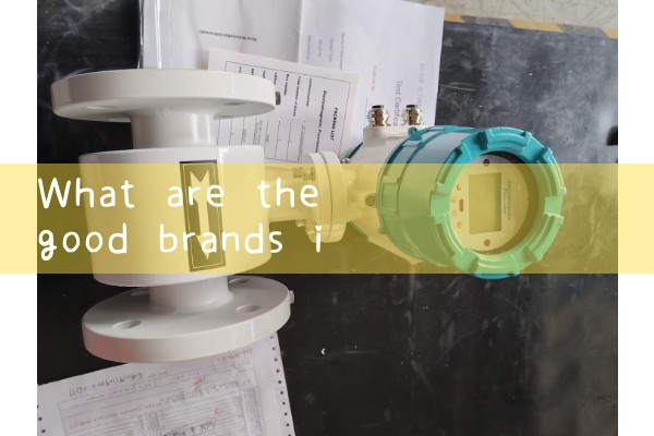Manufacturers producing quality flow meters